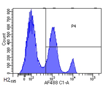 CD33 Antibody [hP67.6 (Gemtuzumab)], Rabbit IgG - Research Grade Biosimilar