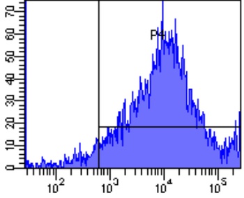 CD41 Antibody [7E3 (Abciximab)], Rabbit IgG - Research Grade Biosimilar
