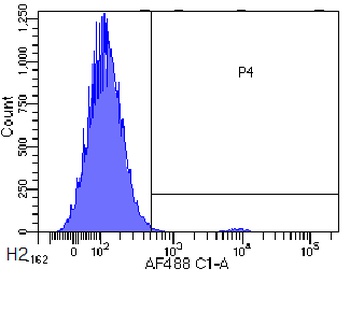 CCR3 (CD193) Antibody [5E8-G9-B4], Rabbit IgG
