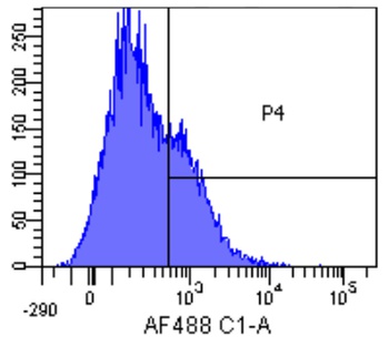 FAS Biosimilar Antibody