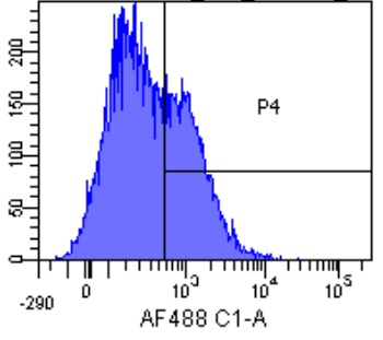 FAS Biosimilar Antibody