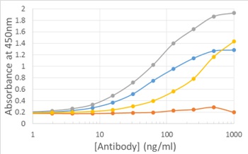V5 epitope tag Antibody [SV5-P-K], Mouse IgG1