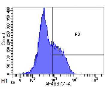 CD52 Antibody [Campath-1H], Rabbit IgG