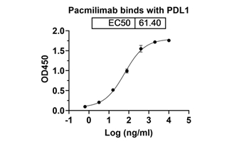 Pacmilimab (CD274/PD-L1/B7-H1) - Research Grade Biosimilar