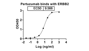 Pertuzumab (ERBB2/EGFR2/CD340) - Research Grade Biosimilar Antibody