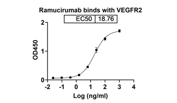 Ramucirumab (KDR/CD309) - Research Grade Biosimilar Antibody