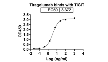 Tiragolumab (TIGIT/VSIG9/VSTM3) - Research Grade Biosimilar Antibody