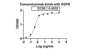 Tomuzotuximab (EGFR) - Research Grade Biosimilar