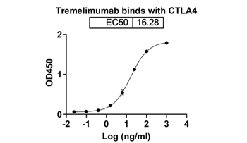 Tremelimumab (CTLA4/CD152) - Research Grade Biosimilar