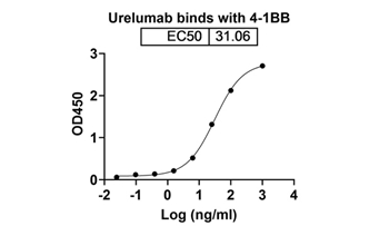 Urelumab (TNFRSF9/CD137 ) - Research Grade Biosimilar