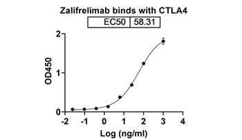 Zalifrelimab (CTLA4/CD152) - Research Grade Biosimilar Antibody