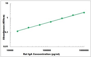 Rat IgA ELISA Kit