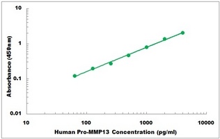 Human Pro-MMP13 ELISA Kit