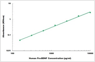 Human Pro-BDNF ELISA Kit