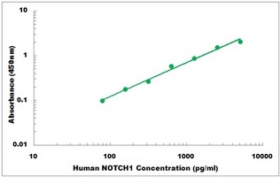 Human NOTCH1 ELISA Kit