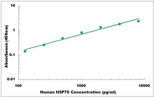 Human HSP70 ELISA Kit