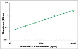 Human HO-1 ELISA Kit