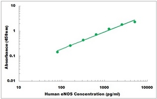 Human eNOS ELISA Kit