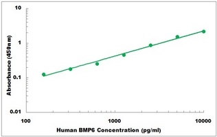 Human BMP6 ELISA Kit