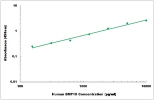 Human BMP10 ELISA Kit