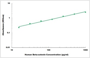 Human Beta-catenin ELISA Kit