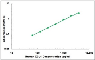 Human XCL1 ELISA Kit