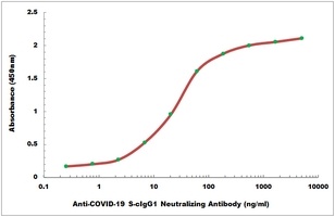 Anti-COVID-19 S-cIgG1 Neutralizing Antibody