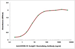Anti-COVID-19 S-mIgG1 Neutralizing Antibody