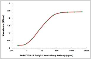 Anti-COVID-19 S-hIgG1 Neutralizing Antibody