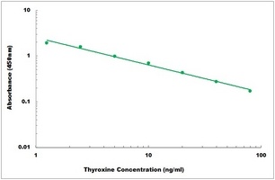 Thyroxine ELISA Kit