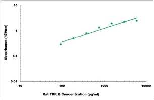 Rat TRK B ELISA Kit