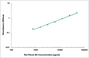 Rat Plexin B2 ELISA Kit