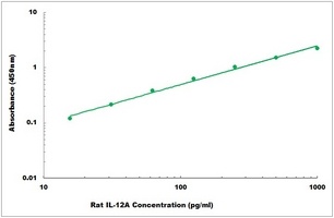 Rat IL-12A ELISA Kit