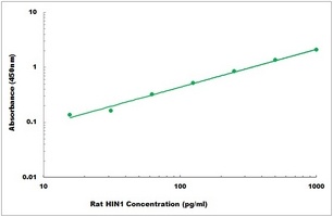 Rat HIN1 ELISA Kit