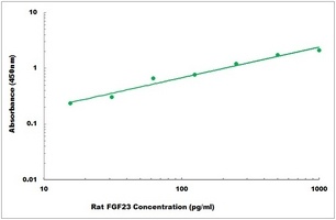 Rat FGF23 ELISA Kit