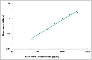Rat CSRP2 ELISA Kit