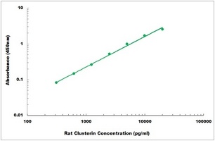 Rat Clusterin ELISA Kit