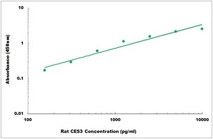 Rat CES3 ELISA Kit