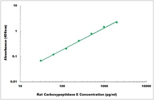 Rat Carboxypeptidase E ELISA Kit