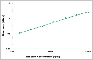 Rat BMP6 ELISA Kit