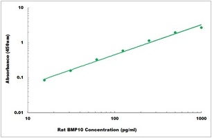 Rat BMP10 ELISA Kit