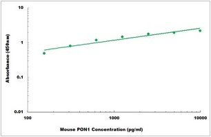 Mouse PON1 ELISA Kit