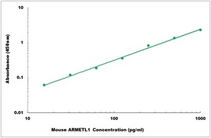 Mouse ARMETL1 ELISA Kit