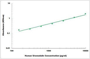 Human Uromodulin ELISA Kit