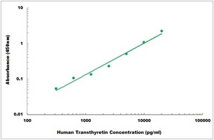 Human Transthyretin ELISA Kit