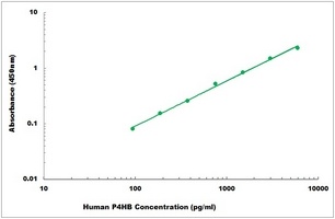 Human P4HB ELISA Kit