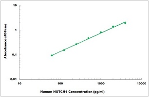 Human NOTCH1 ELISA Kit