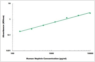 Human Nephrin ELISA Kit