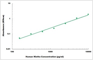 Human Klotho ELISA Kit