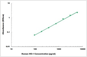 Human HO-1 ELISA Kit